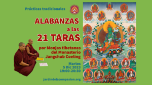 21 Taras por monjas