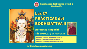 37 prácticas del Bodhisattva II