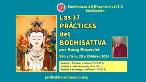 Las 37 prácticas del Bodhisattva, por Ratag Rinpoché
