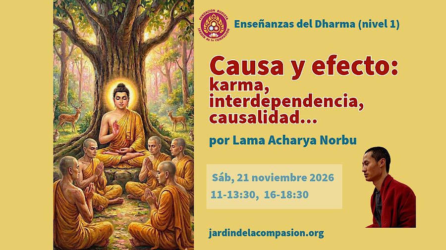 Causa y efecto
